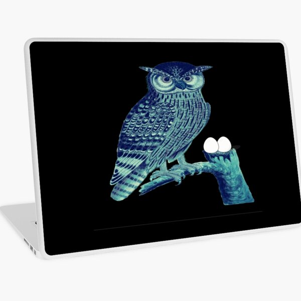 Hibou Laptop Skins Redbubble