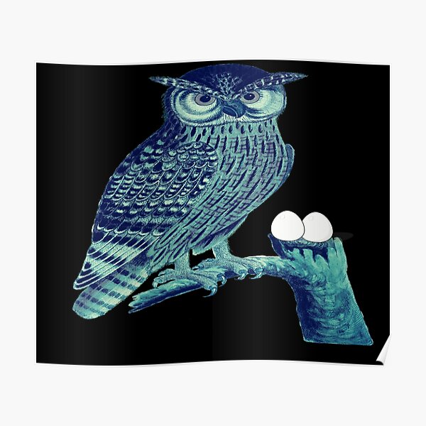 Hibou Posters Redbubble