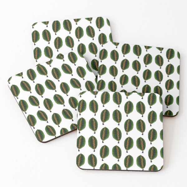 Item preview, Maranta Leuconeura designed and sold by -Senaar-.