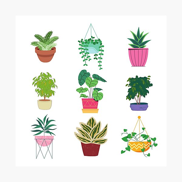 Item preview, Row of Plants  designed and sold by alexiachristine.