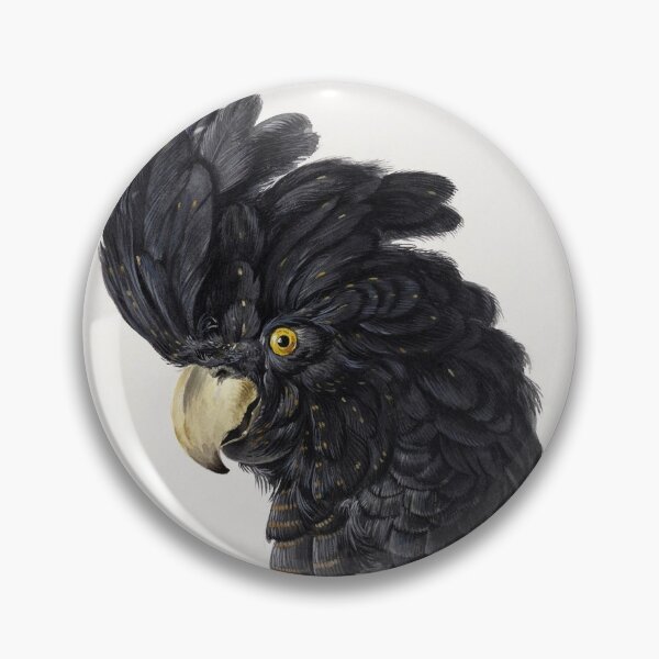 Item preview, Head of a Cockatoo (1725 - 1792) in high resolution by Aert Schouman. Original from The Rijksmuseum. designed and sold by Lachlan Steele.