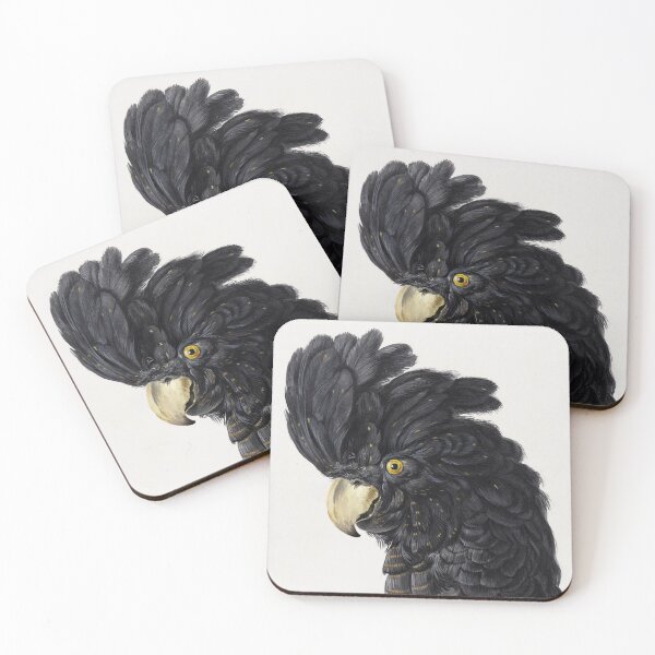 Item preview, Head of a Cockatoo (1725 - 1792) in high resolution by Aert Schouman. Original from The Rijksmuseum. designed and sold by Lachlan Steele.