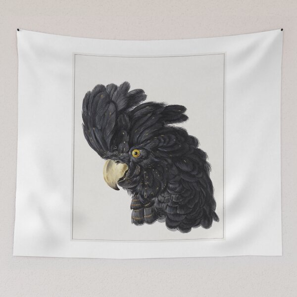 Item preview, Head of a Cockatoo (1725 - 1792) in high resolution by Aert Schouman. Original from The Rijksmuseum. designed and sold by Lachlan Steele.