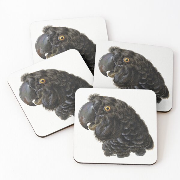 Item preview, Head of a Cockatoo 2 (1725–1792) painting in high resolution by Aert Schouman. designed and sold by Lachlan Steele.