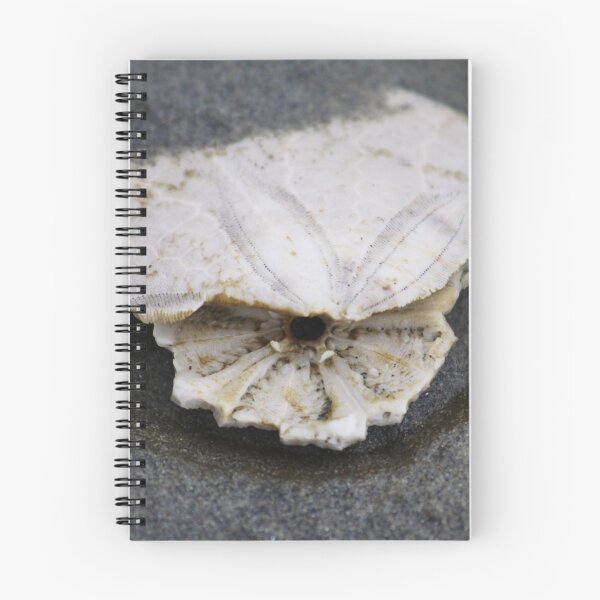 Item preview, Broken Treasure designed and sold by BlueFeather Images.