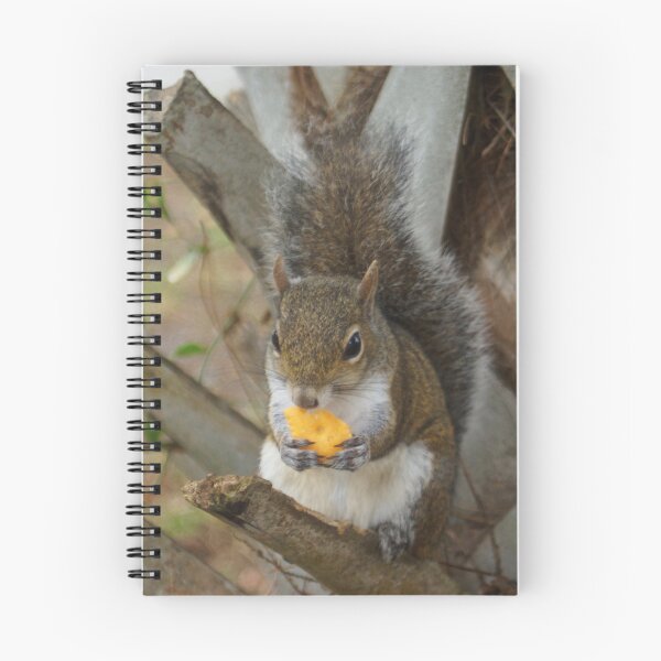 Item preview, I just love Cheez-its! designed and sold by BlueFeather Images.