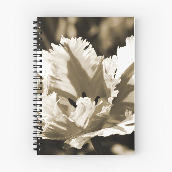 Item preview, Frilly Tulip designed and sold by BlueFeather Images.