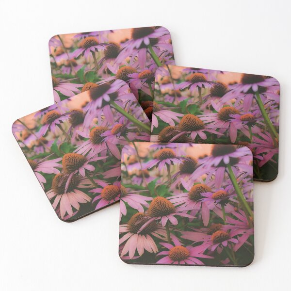 Item preview, Garden of Cone Flowers designed and sold by DonnaMariePhoto.