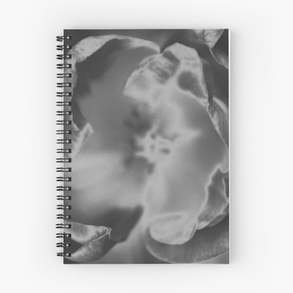 Artikelvorschau, Tulpe in schwarz und weiß entworfen und verkauft von BlueFeather Images.