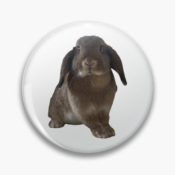 Artikelvorschau, Real Bunny Rabbits Sticker Pack entworfen und verkauft von Designforoz.