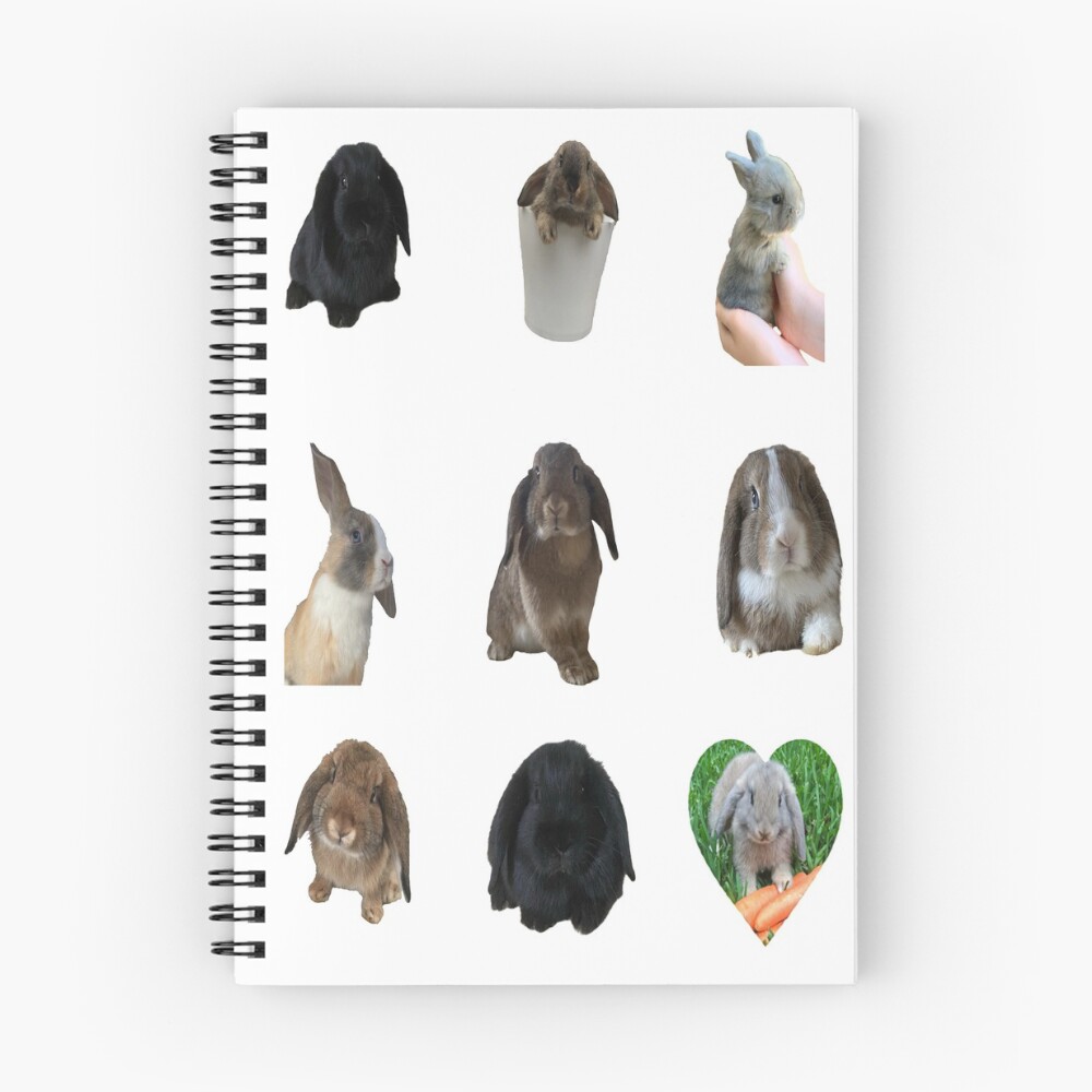 Artikel-Vorschau von Spiralblock, designt und verkauft von Designforoz.