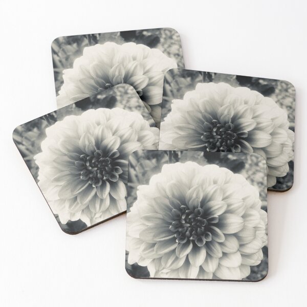 Item preview, Black and White Dahlia designed and sold by BlueFeather Images.