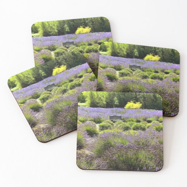 Item preview, Bench in the Middle of a Sequim Lavender Field designed and sold by SeaChangeDesign.