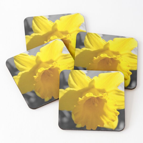 Item preview, Daffodil Delight designed and sold by BlueFeather Images.