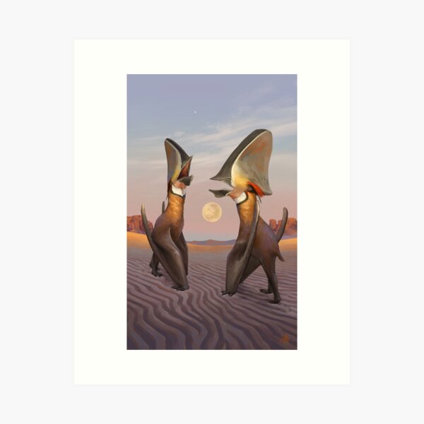 Caiuajaras at dawn Art Print