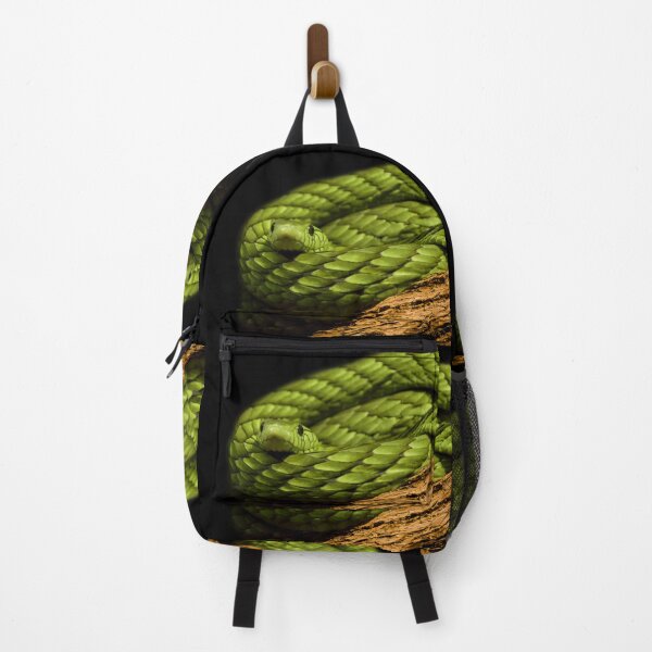 Item preview, Green Mamba Snake Coiled on Black Background designed and sold by KbytesOfJax Outdoor and Nature.
