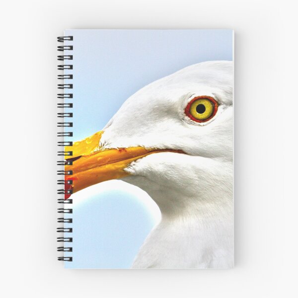 Item preview, Gully Gosh! designed and sold by Chris Ayre.