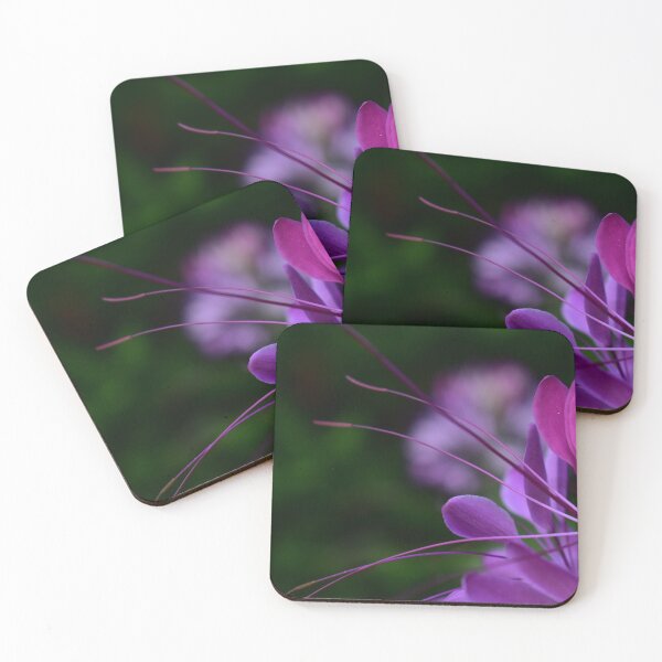Item preview, Spider Flowers in Purple designed and sold by DonnaMariePhoto.