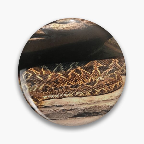 Item preview, Snake at the zoo designed and sold by JJSpace.