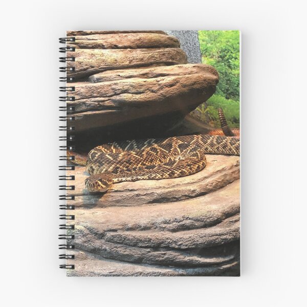 Item preview, Snake at the zoo designed and sold by JJSpace.
