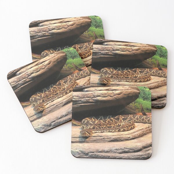 Item preview, Snake at the zoo designed and sold by JJSpace.