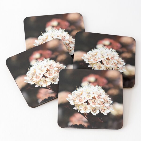 Item preview, Ninebark Bloom designed and sold by CJGrimes.