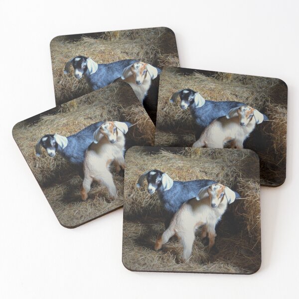 Item preview, Siblings designed and sold by Savannah Gibbs.