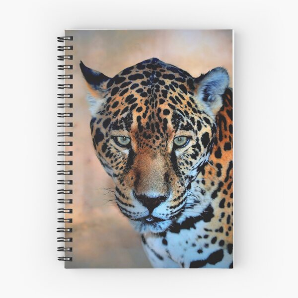 Item preview, Jaguar Panthera Onca designed and sold by Savannah Gibbs.