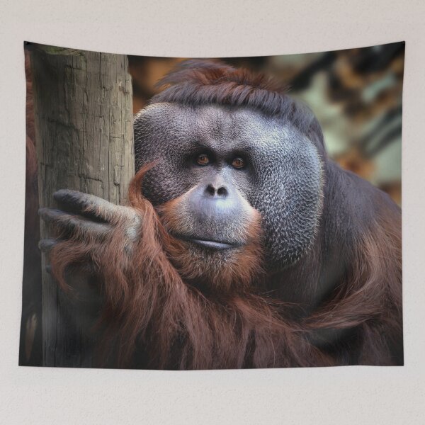 Item preview, Rudi designed and sold by Savannah Gibbs.