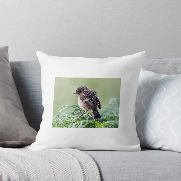 Item preview, Juvenile Stonechat designed and sold by Paul Spear.