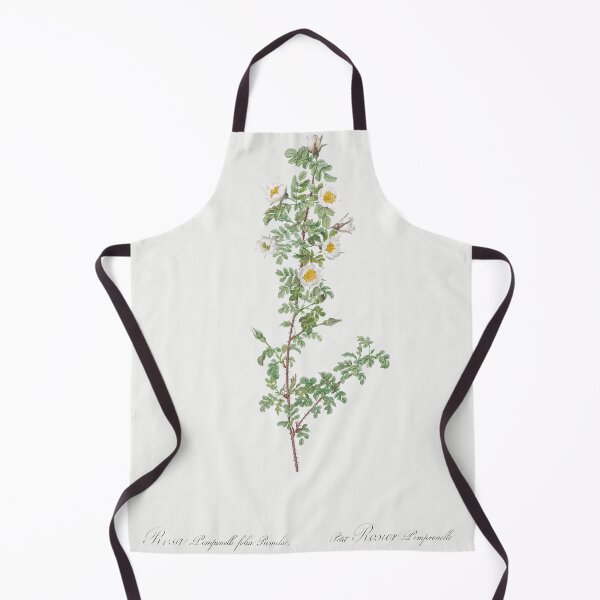 Item preview, Les Roses by Pierre-Joseph Redouté designed and sold by EsotericBotanic.