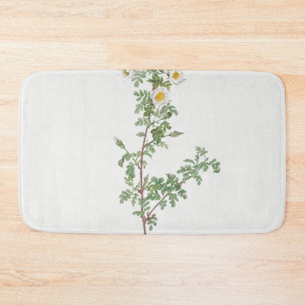 Item preview, Les Roses by Pierre-Joseph Redouté designed and sold by EsotericBotanic.