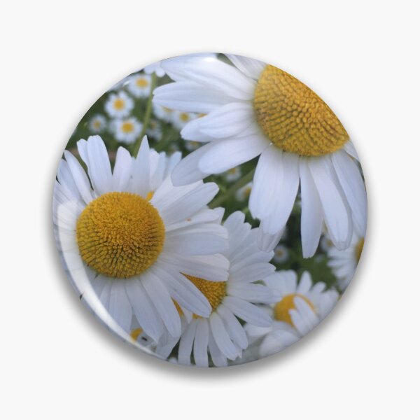 Item preview, Shine on designed and sold by BeachZen.