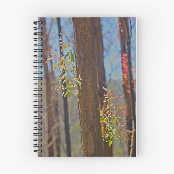 Item preview, After the Fires designed and sold by Jodie Cooper.