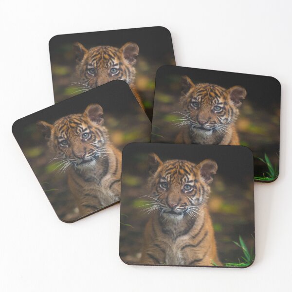 Item preview, Baby Tiger Portrait designed and sold by TVD-Photography.