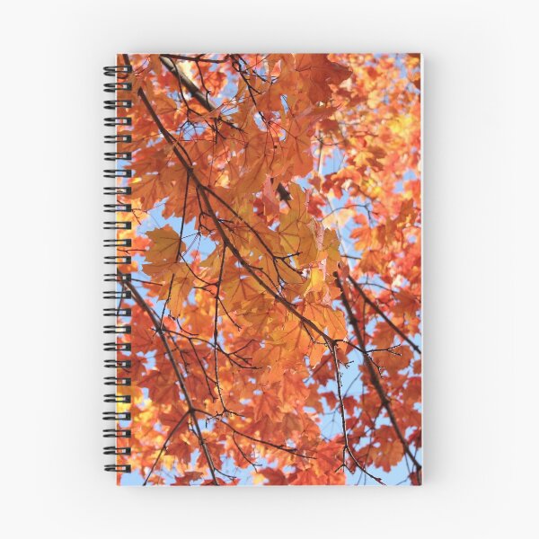Item preview, Pittsfield, Massachusetts designed and sold by Rachael Mullins.