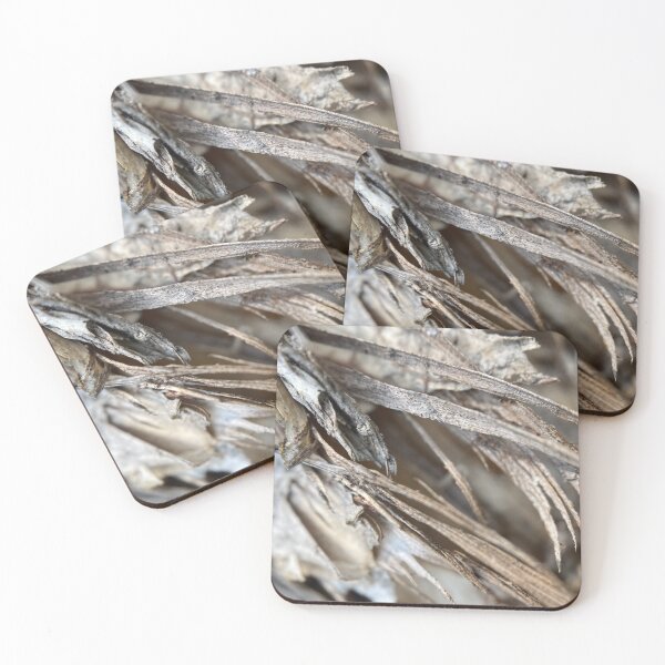 Item preview, Peeling Tree Bark designed and sold by Sinemathk.