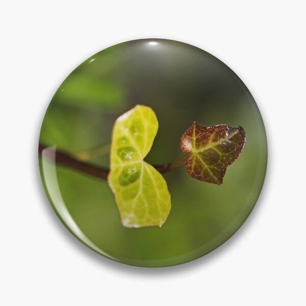 Artikelvorschau, Herz mit Gesicht Efeu entworfen und verkauft von Joy Watson - Natural Light Photography .