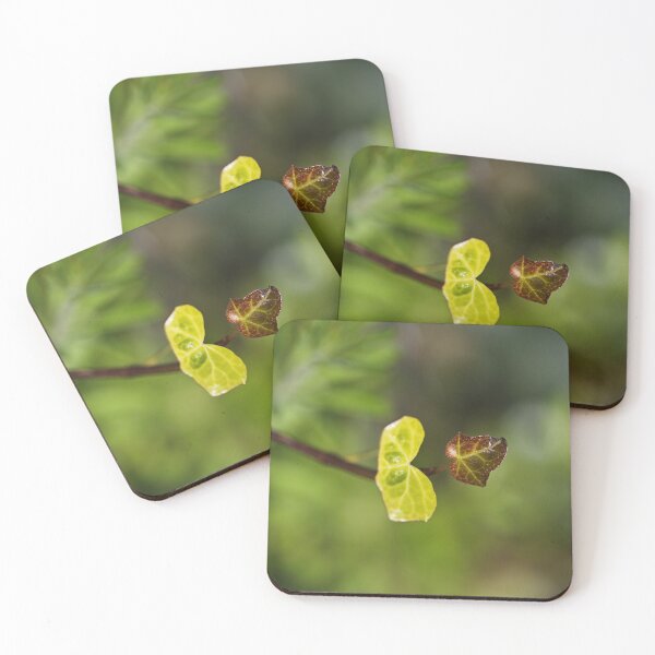 Item preview, Heart With Face Ivy  designed and sold by Joy Watson - Natural Light Photography .