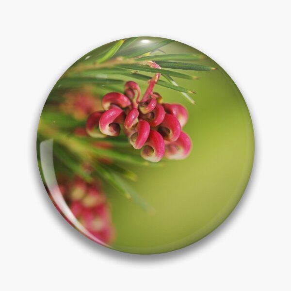 Item preview, Grevillea Pink Flower Groups designed and sold by Joy Watson - Natural Light Photography .