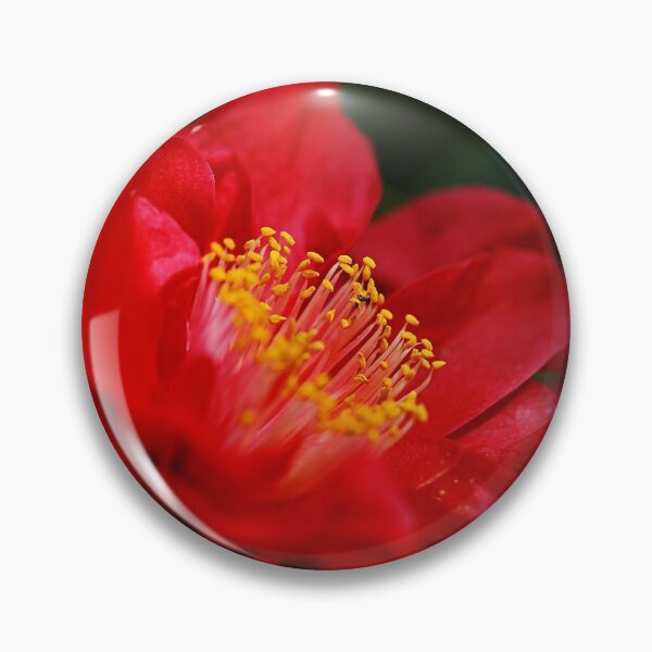 Item preview, Red Bright Camellia Sasanqua designed and sold by Joy Watson - Natural Light Photography .