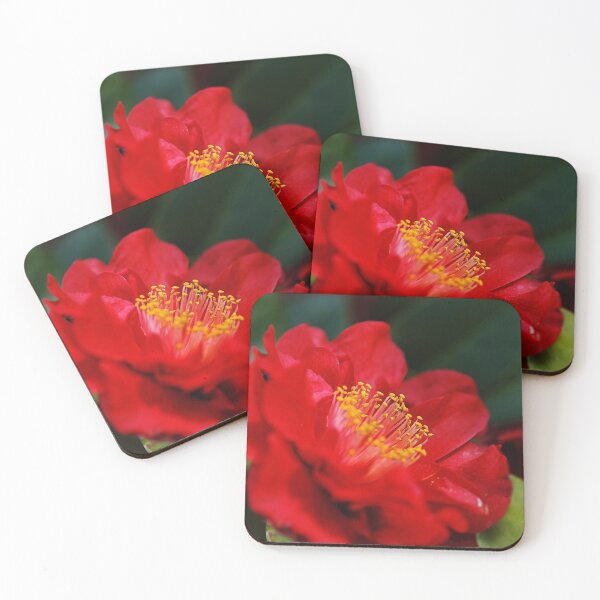 Item preview, Red Bright Camellia Sasanqua designed and sold by Joy Watson - Natural Light Photography .