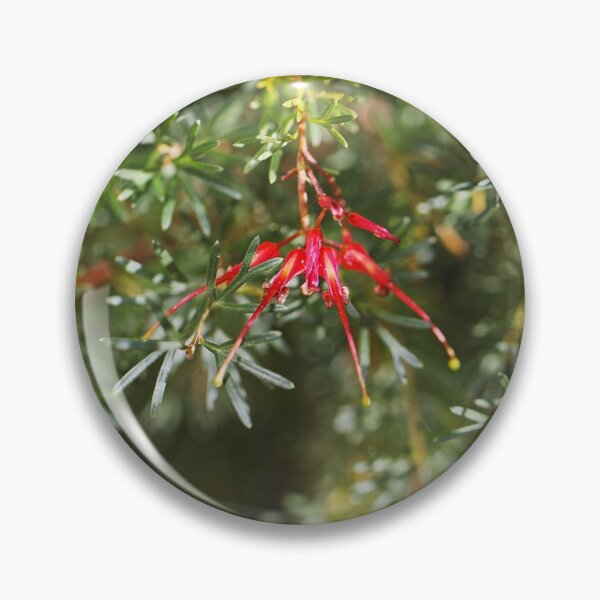 Item preview, Grevillea Flower Red Like Spider  designed and sold by Joy Watson - Natural Light Photography .
