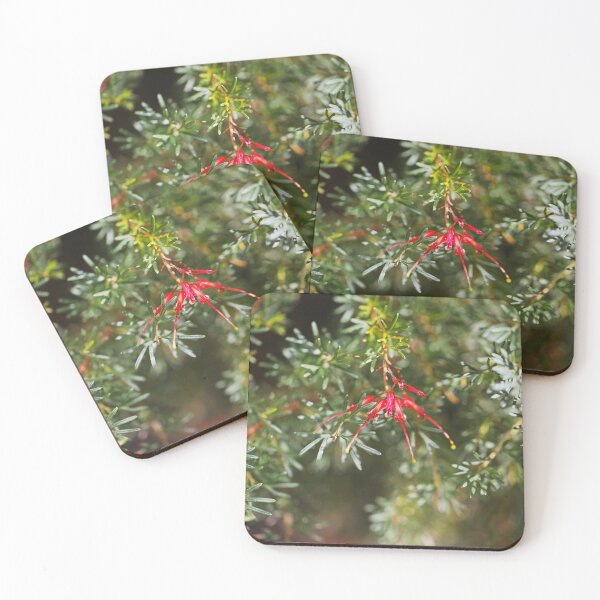 Item preview, Grevillea Flower Red Like Spider  designed and sold by Joy Watson - Natural Light Photography .