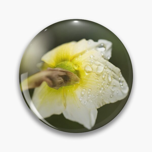 Item preview, The Daffodil Rain Drops designed and sold by Joy Watson - Natural Light Photography .