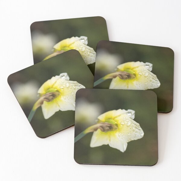 Item preview, The Daffodil Rain Drops designed and sold by Joy Watson - Natural Light Photography .