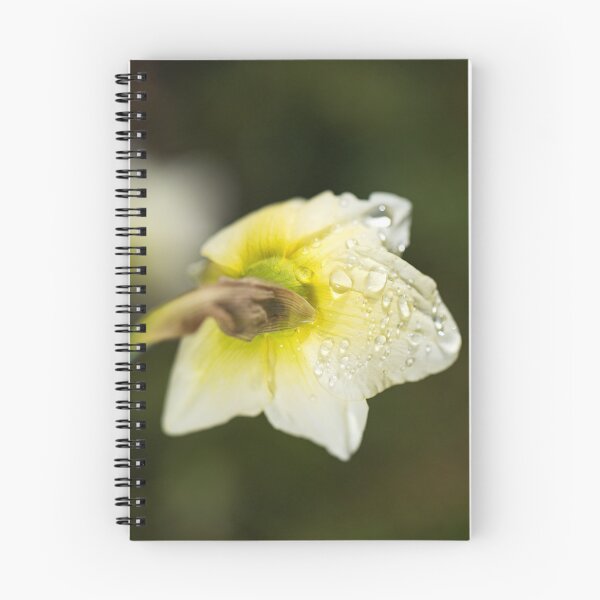 Item preview, The Daffodil Rain Drops designed and sold by Joy Watson - Natural Light Photography .
