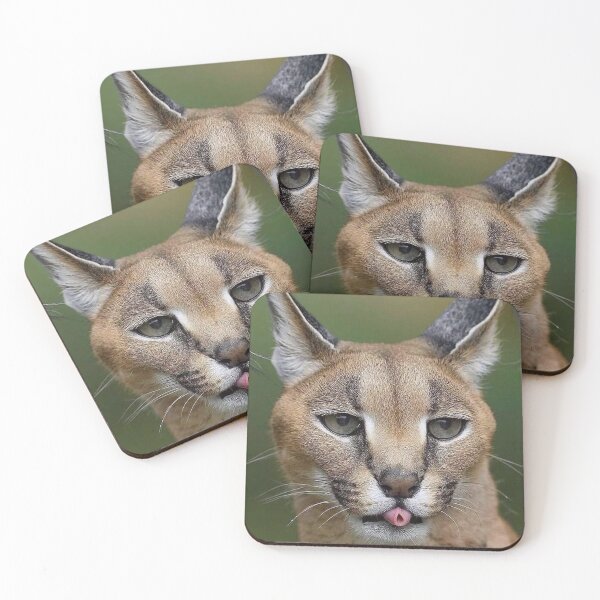 Item preview, Handsome Floppa designed and sold by Karcer.