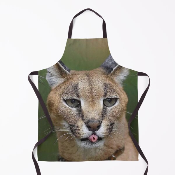 Item preview, Handsome Floppa designed and sold by Karcer.
