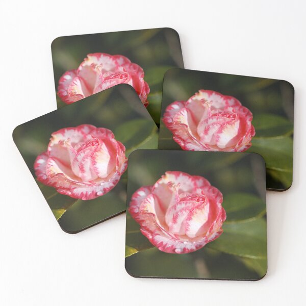 Item preview, The Japonica Camellia  designed and sold by Joy Watson - Natural Light Photography .
